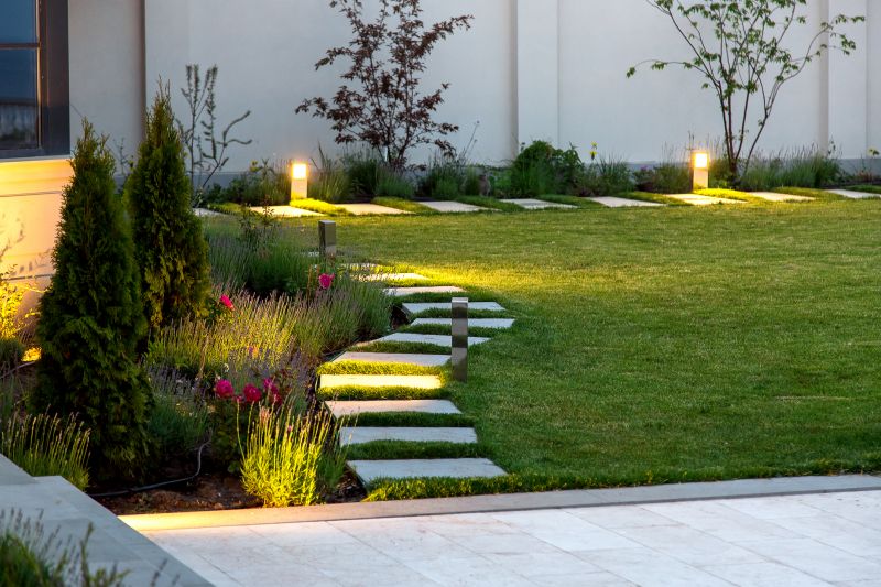 LED Lighting and Ambient Features